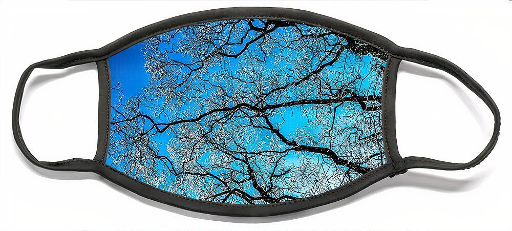 Abstract Face Mask featuring the photograph Chaotic System Of Ice Covered Tree Branches With Blue Sky by Andreas Berthold