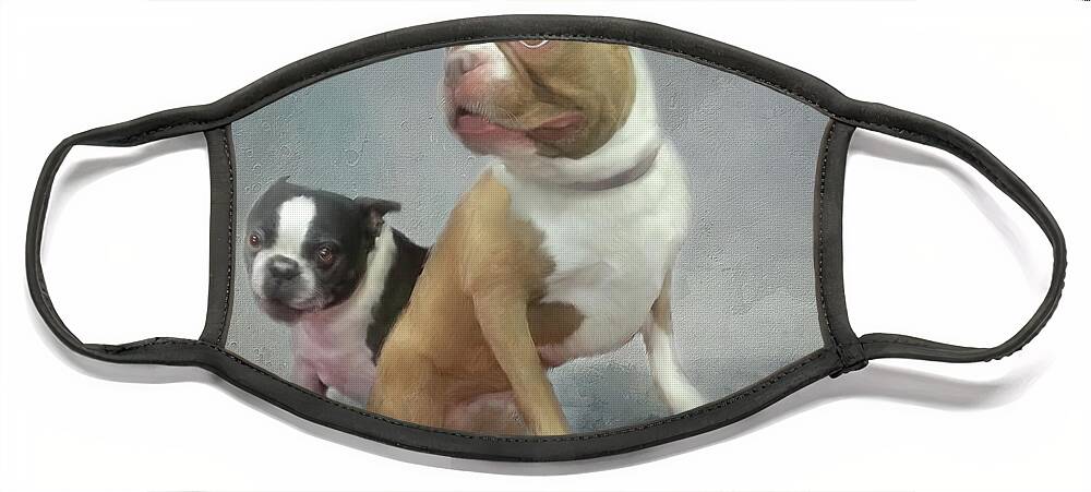 Boston Terrier's Face Mask featuring the mixed media Cheech and Chong by Colleen Taylor