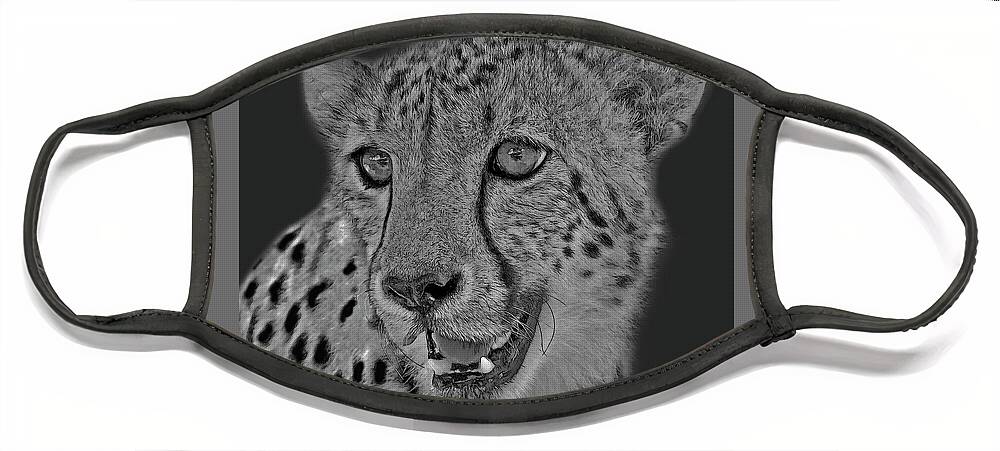 African Wildlife Photo Art Face Mask featuring the digital art Cheetah Portrait by Larry Linton