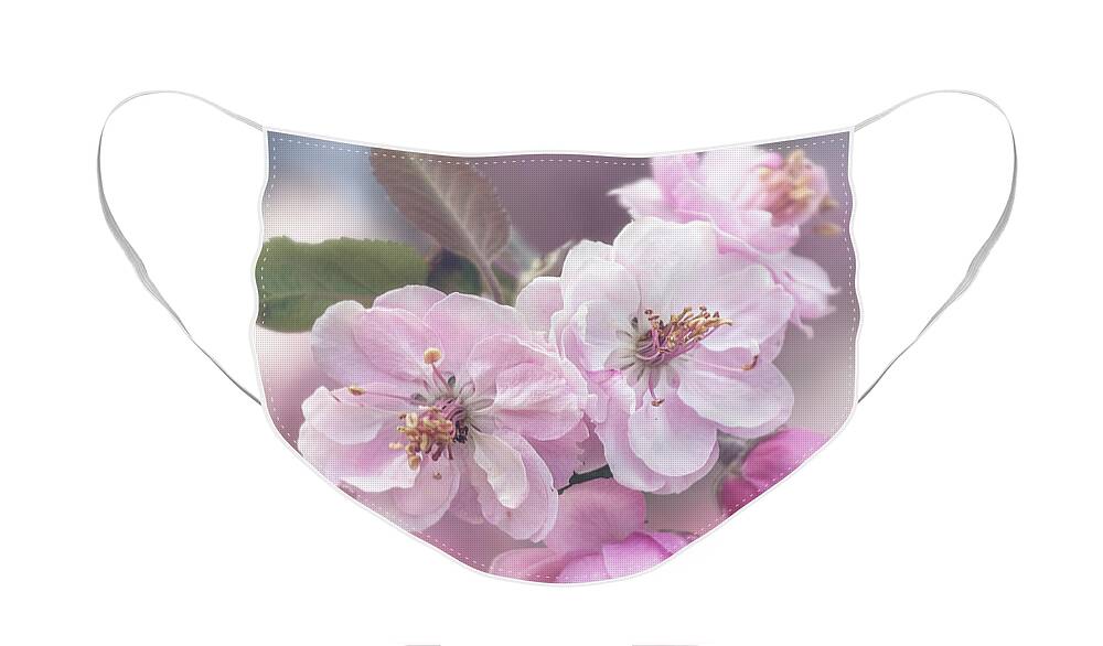 Blossom Face Mask featuring the photograph Cherry Blossom Cluster by Teresa Wilson