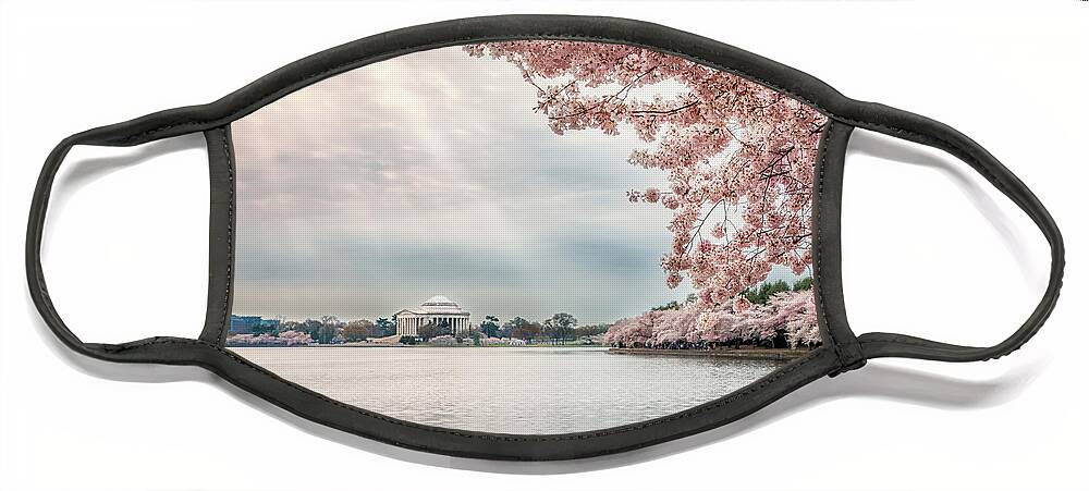 Cherry Blossoms Face Mask featuring the photograph Cherry Blossoms and God Beams by C Renee Martin