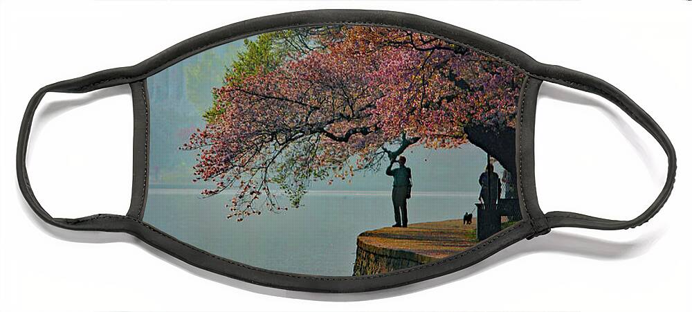 Jefferson Memorial Face Mask featuring the photograph Cherry Blossoms6090 by Carolyn Stagger Cokley