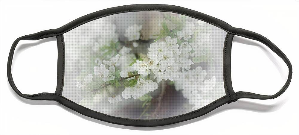 Flowers Face Mask featuring the photograph Spring Cherry Blossom 2 by Elaine Teague