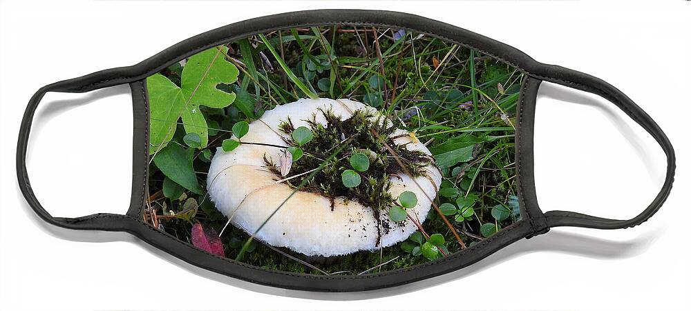 Mushroom Face Mask featuring the photograph Chilcotin Forest Mushroom Garden by Nicola Finch