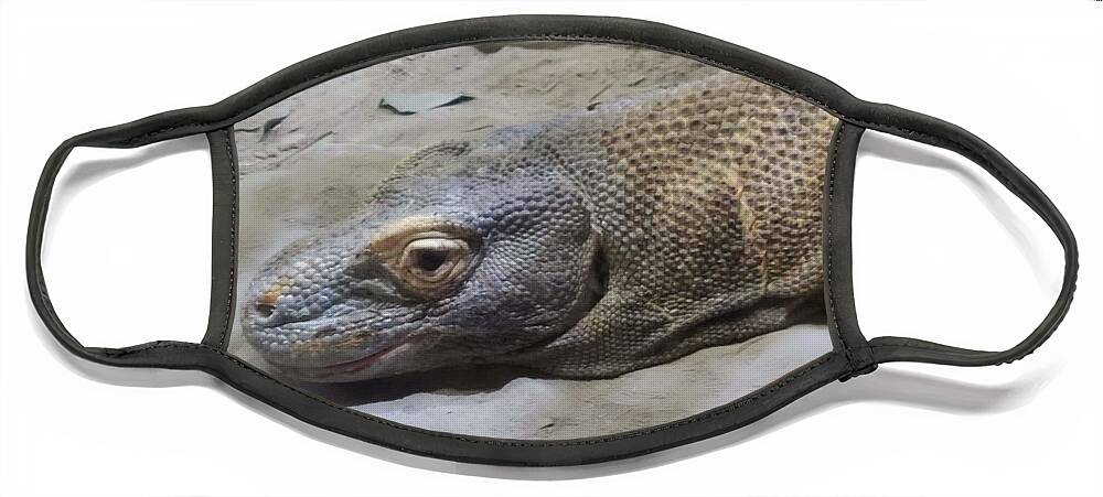 Komodo Face Mask featuring the photograph Chilling with a Komodo Dragon by Elena Pratt