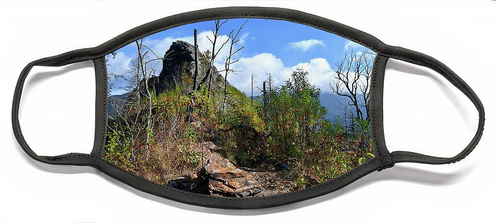 Chimney Tops Face Mask featuring the photograph Chimney Tops 19 by Phil Perkins