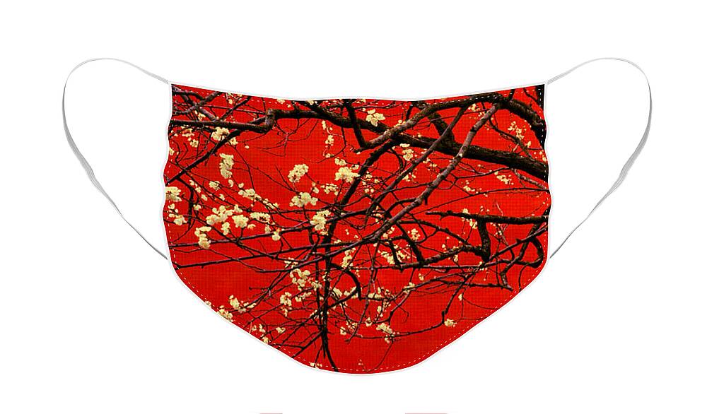 Tree Face Mask featuring the photograph China Red by Peter J Robinson Jr