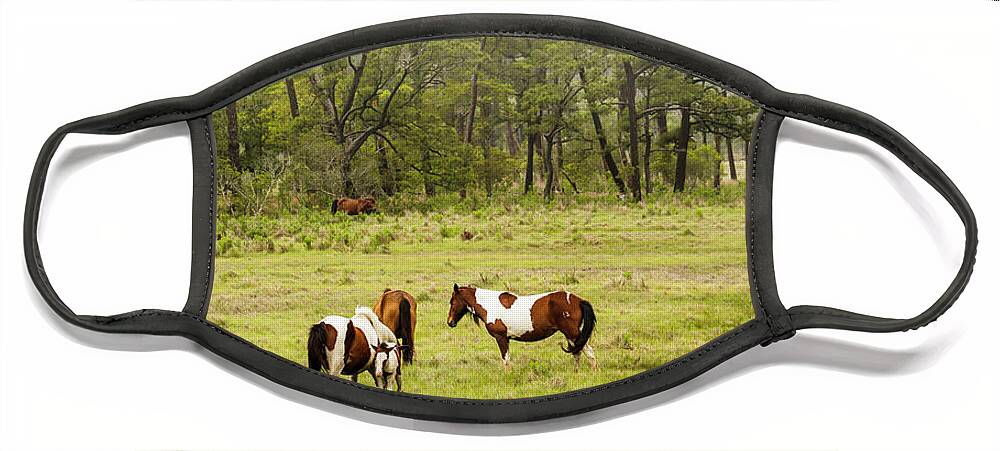 Chincoteague Face Mask featuring the photograph Chincoteague Pony Herd by Dale R Carlson