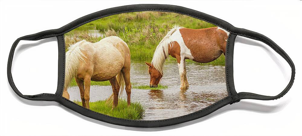 Chincoteague Face Mask featuring the photograph Chincoteague Treasures by Dale R Carlson