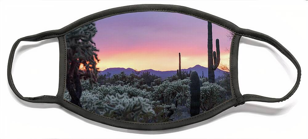 Desert Face Mask featuring the photograph Cholla Sunset by Jeff Hubbard