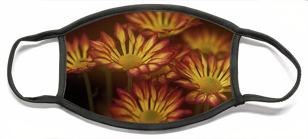 Flower Face Mask featuring the photograph Chrysanthemums Roma Fiesta by Ann Jacobson