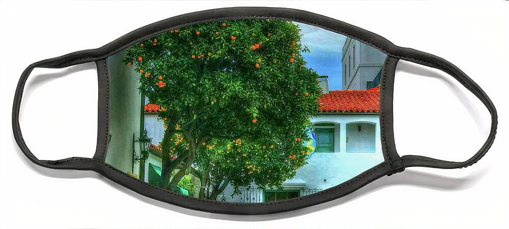 Orange Tree Face Mask featuring the photograph Citrus Pops by Debbi Granruth