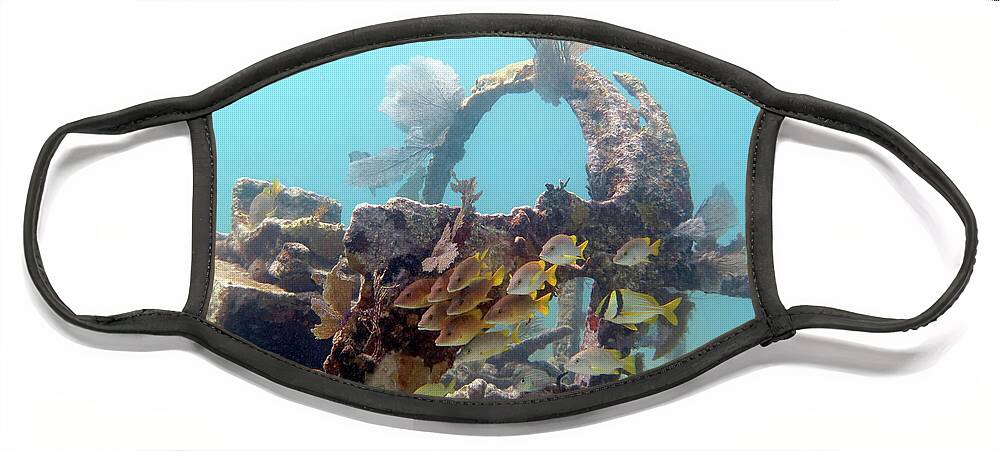 Underwater Face Mask featuring the photograph City of Washington 14 by Daryl Duda
