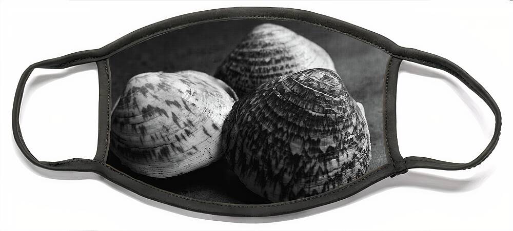 Clams Face Mask featuring the photograph Clam Shells Black And White by Jeff Townsend