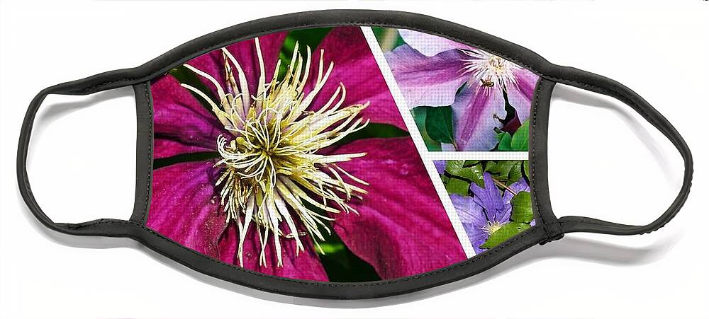 Clematis Face Mask featuring the photograph Clematis Blossoms by Nancy Ayanna Wyatt