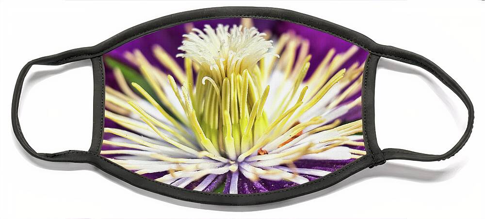 Flowers Face Mask featuring the photograph Clematis flower close up by MPhotographer