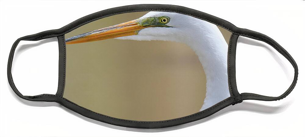 Egret Face Mask featuring the photograph Close up Egret by Michelle Wittensoldner