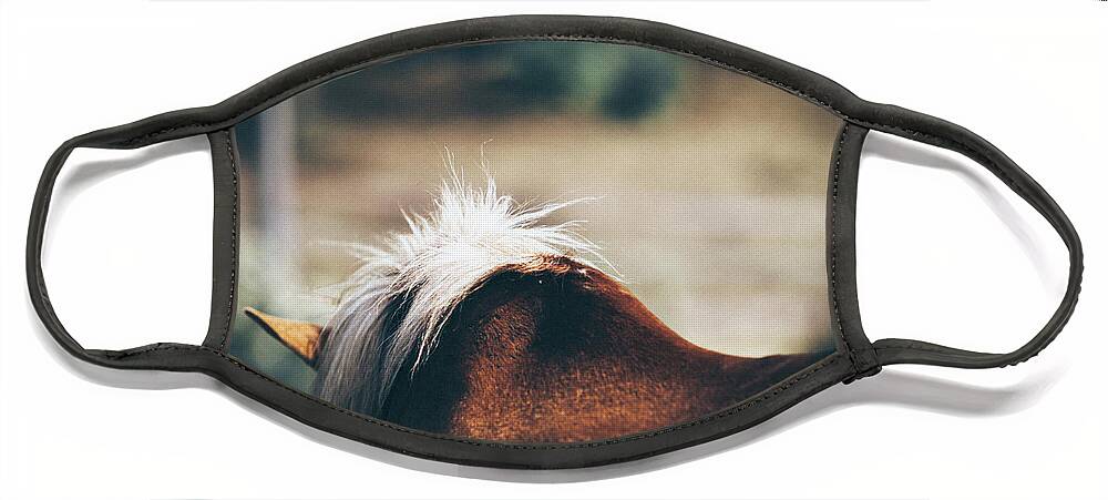 Horse Face Mask featuring the photograph Closeup horse mane by Dimitar Hristov