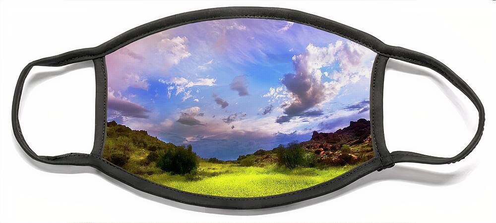 Santa Susana State Park Face Mask featuring the photograph Clouds and Yellow Flowers by Jerry Cowart