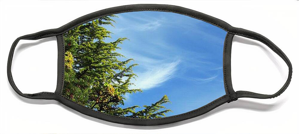 Clouds Face Mask featuring the photograph Clouds Imitating Trees by Kimberly Furey