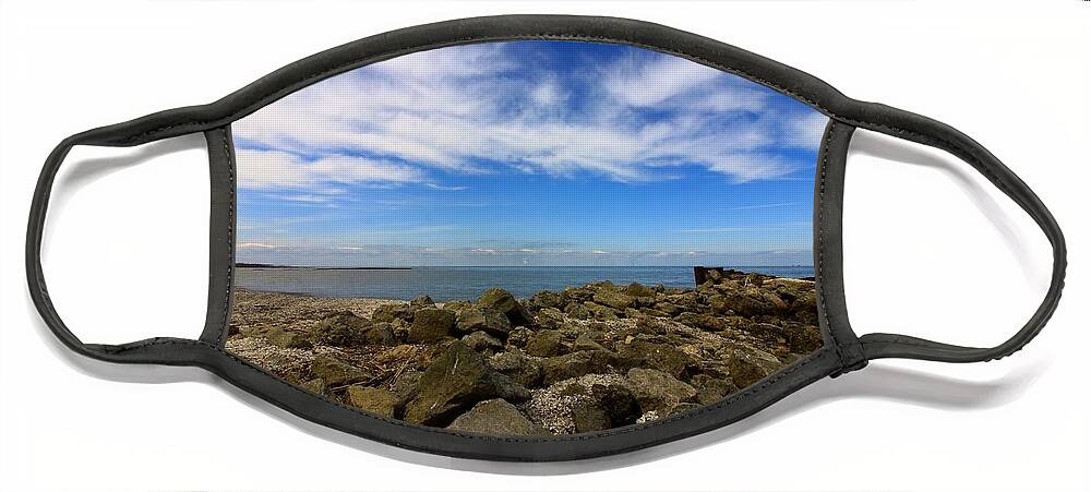 Lake Erie Face Mask featuring the photograph Coastal Ohio Series 3 by Mary Walchuck