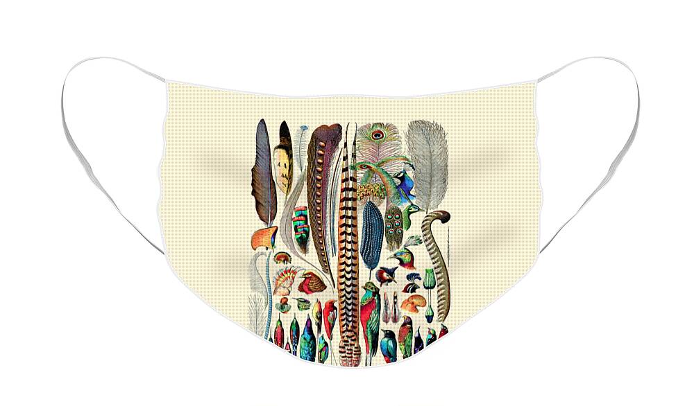 Feather Face Mask featuring the digital art Collection Of Bird Feathers by Madame Memento