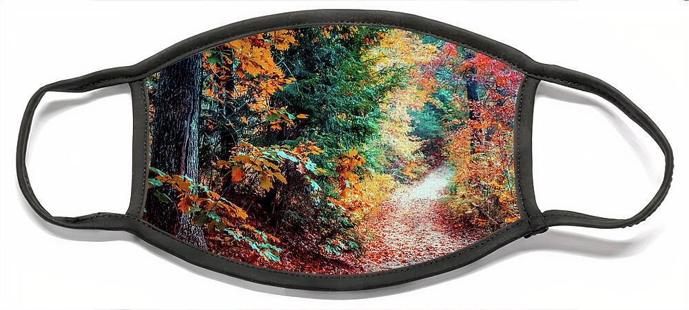 Foliage Face Mask featuring the photograph Colorful Autumn path in the woods by Lilia S