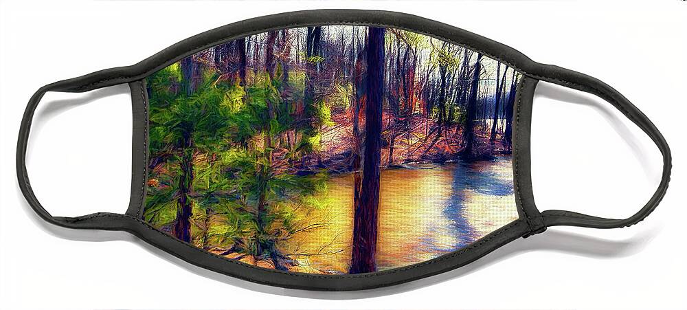 North Carolina Face Mask featuring the photograph Colorful Cove ap by Dan Carmichael
