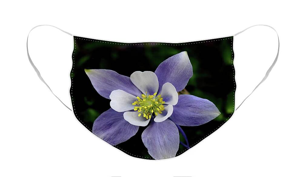 Columbine Face Mask featuring the photograph Columbine by Bob Falcone