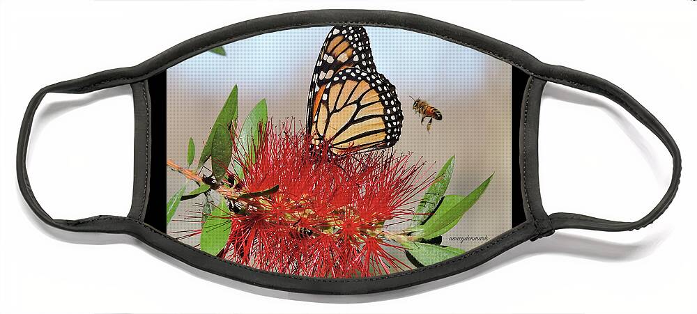Monarch Face Mask featuring the photograph Coming In For A Landing by Nancy Denmark