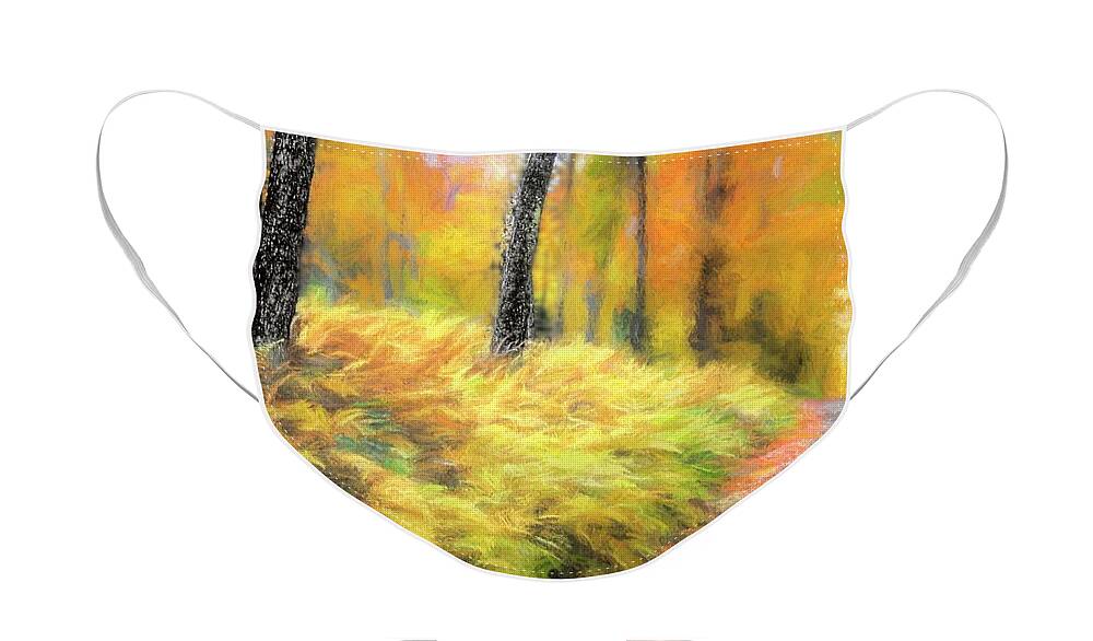 Autumn Face Mask featuring the photograph Conflagration on Long Pond Road by Wayne King