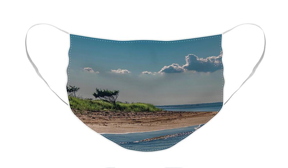 Chincoteague Face Mask featuring the photograph Contentment in Chincoteague by Marcy Wielfaert