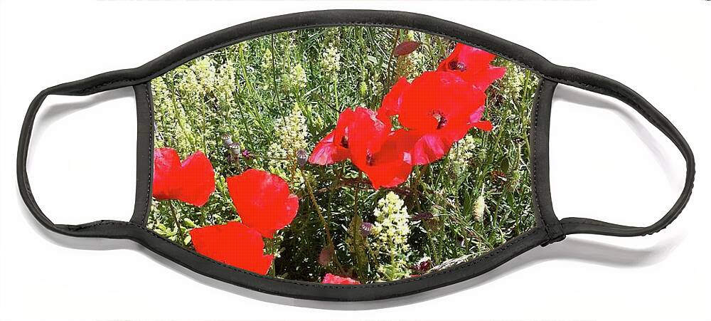 Flower Face Mask featuring the photograph Coquelicots by Joelle Philibert