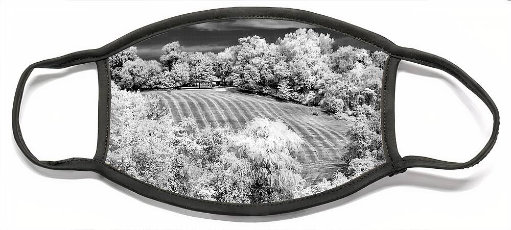 Black & White Face Mask featuring the photograph Country Field in Infrared by Anthony Sacco