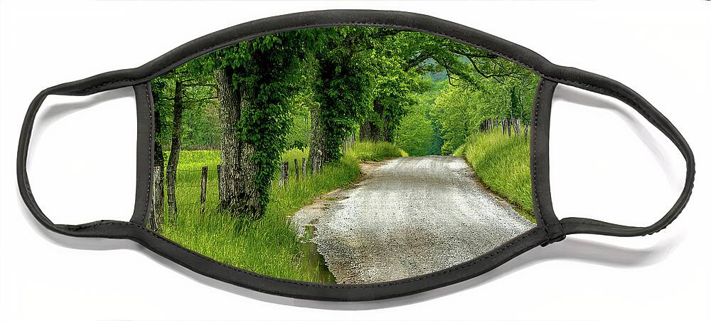 Cades Cove Face Mask featuring the photograph Country Roads, Take Me Home by Eric Albright