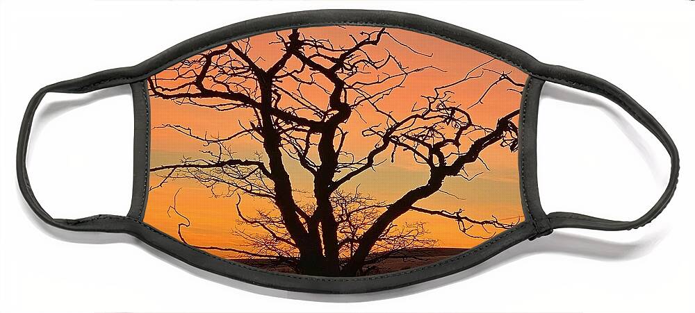 Sunrise Face Mask featuring the photograph Country Sunrise by Jerry Abbott