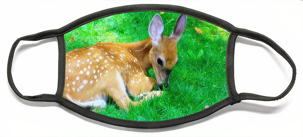 Nature Wildlife Fawn Face Mask featuring the photograph Cozy Fawn by Mary Walchuck
