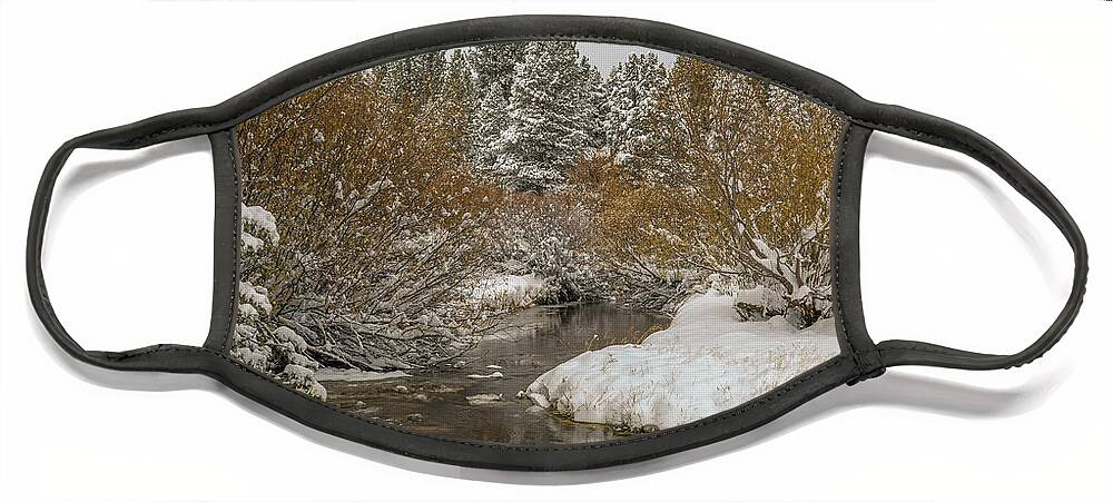  California Face Mask featuring the photograph creek after the storm, El Dorado National Forest, California, USA by PROMedias US