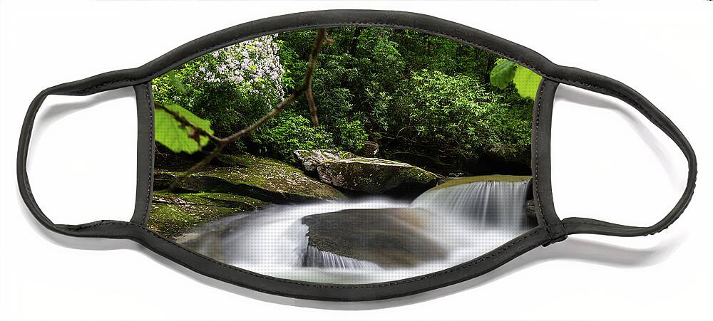 Pisgah National Forest Face Mask featuring the photograph Creek Shade Pisgah National Forest by Donnie Whitaker