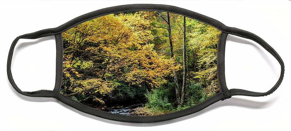 Clouds Face Mask featuring the photograph Creeper Trail Whitewater Streams Damascus Virginia by Debra and Dave Vanderlaan