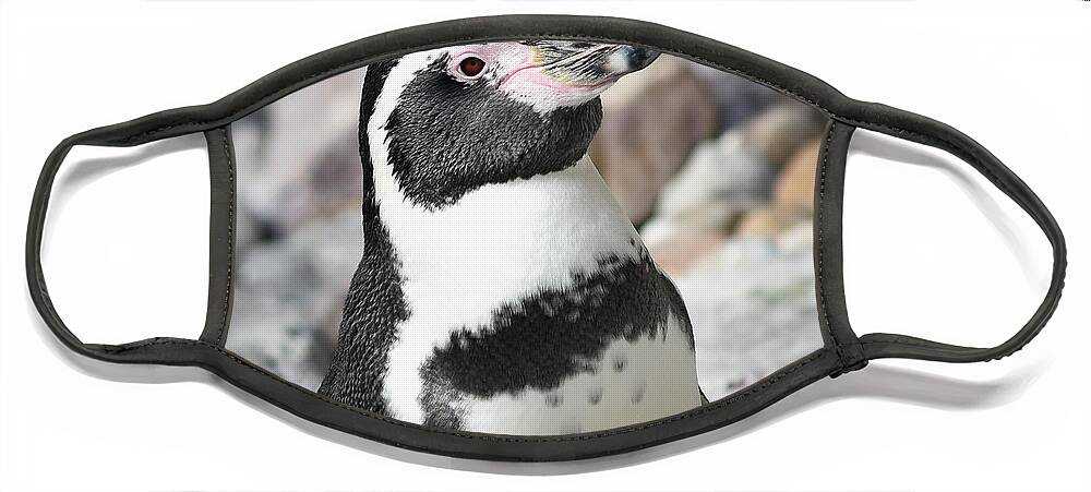 Penguin Face Mask featuring the photograph Cute Penguin by Michelle Wittensoldner