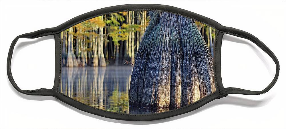 Georgia Face Mask featuring the photograph Cypress by Jennifer Robin