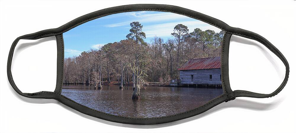 George L. Smith State Park Face Mask featuring the photograph Cypress Tree Dead Ahead by Ed Williams