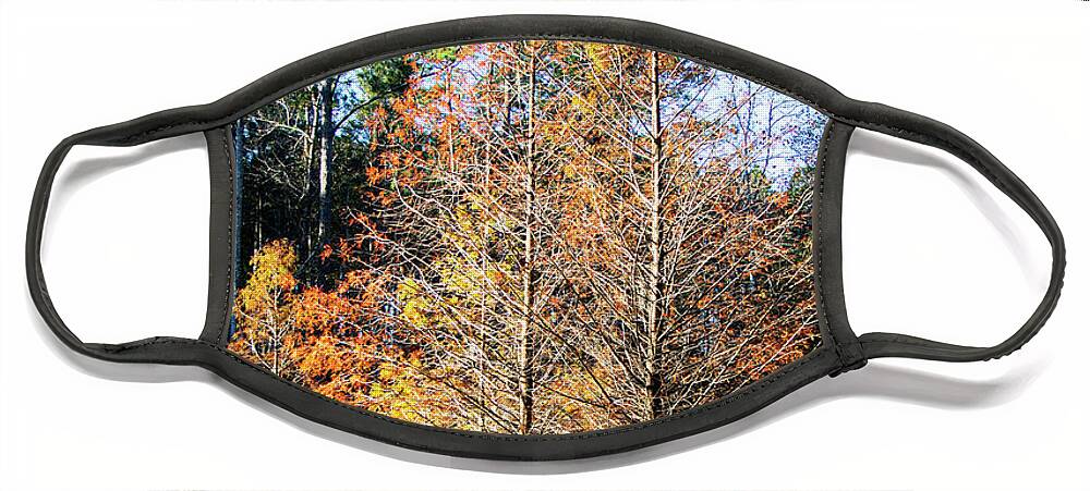 Cypress Face Mask featuring the photograph Cypress Tree in the Swamp in Fall Foliage by Bob Decker