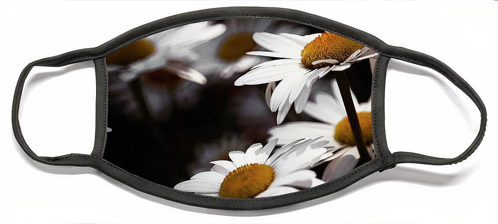 Daiseys Face Mask featuring the photograph Daisies by RicharD Murphy