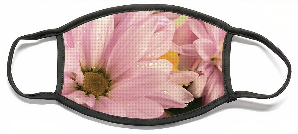Daisies; Daisy; Flower; Flowers; Pink Flowers; Petals; Pink; Water; Water Drops; Dew; Wet; Horizontal Face Mask featuring the photograph Daisy Bouquet by Tina Uihlein