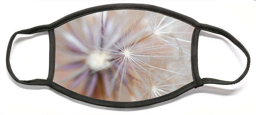 Nature Face Mask featuring the photograph Dandelion 2 by Amy Fose