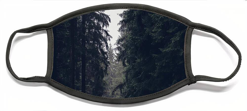 Forest Face Mask featuring the photograph Dark atmosphere in forest. Forgotten road in rainy day by Vaclav Sonnek