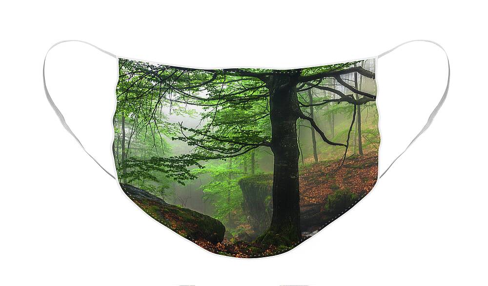 Fog Face Mask featuring the photograph Dark Forest by Evgeni Dinev