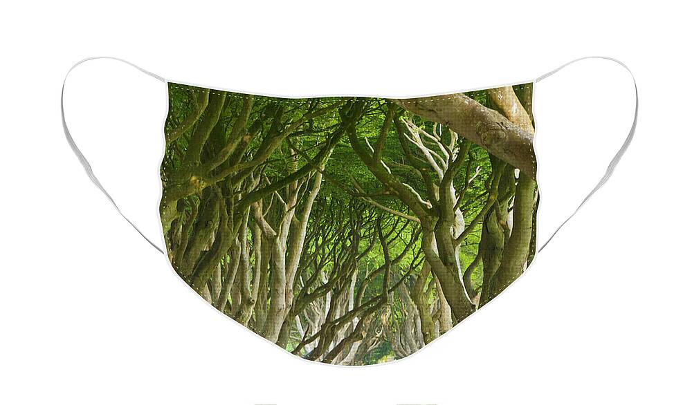 The Game Of Thrones Face Mask featuring the photograph Dark Hedges, County Antrim, Northern Ireland by Neale And Judith Clark
